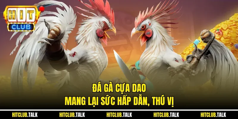 Đá gà cựa dao mang lại sức hấp dẫn, thú vị