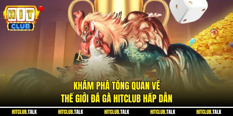 Khám phá tổng quan về thế giới đá gà HITCLUB hấp dẫn