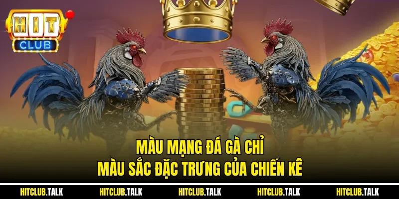 Màu mạng đá gà chỉ màu sắc đặc trưng của chiến kê